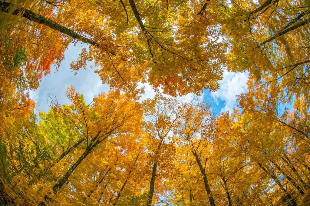 Quand commencent les 4 saisons en Haïti ?