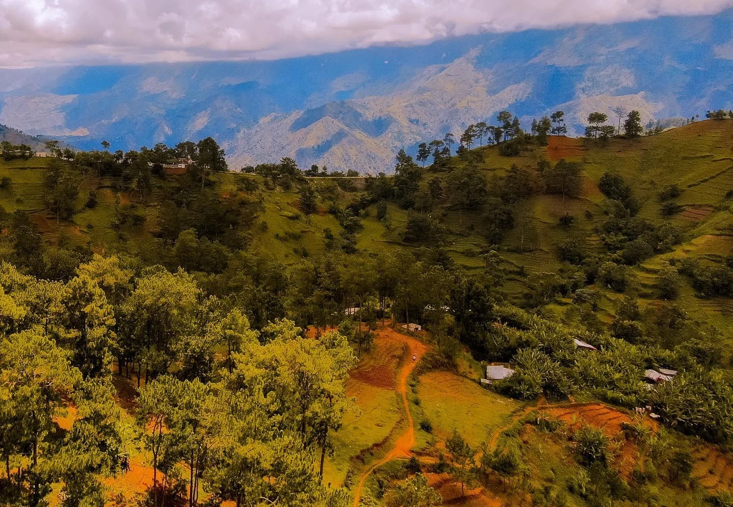 Fête du Travail en Haïti : L’Agriculture comme Levier Économique